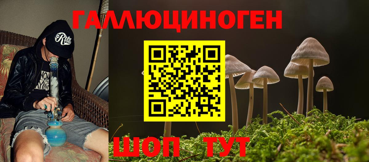 Галлюциногенные грибы прущие грибы  Вход с VPN  Галлюциногенные грибы прущие грибы  Сосновый Бор 